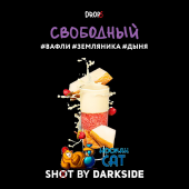 Табак Dark Side Shot Свободный 30г Акцизный